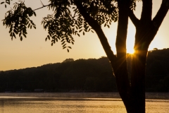 Summer Silhouette