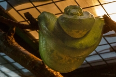 Patient Python